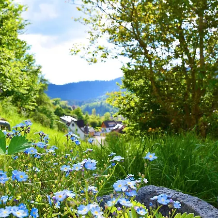 Pazdur Apartamento *