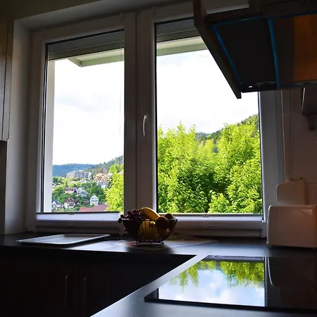 Appartement Pazdur *